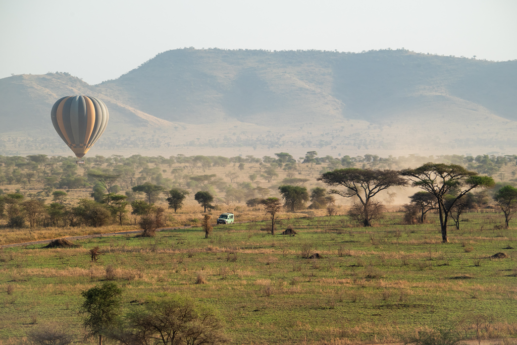 Serengeti a magasból