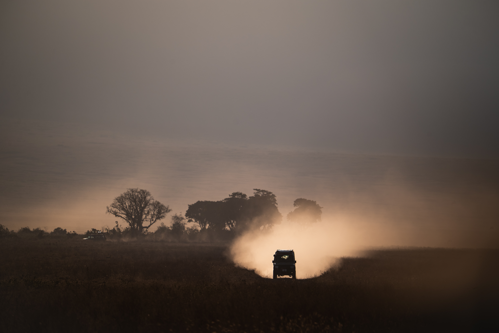 Tamron 150-500, 350mm