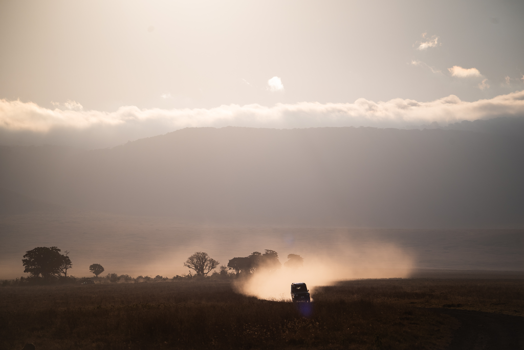 Tamron 250-500, 180mm